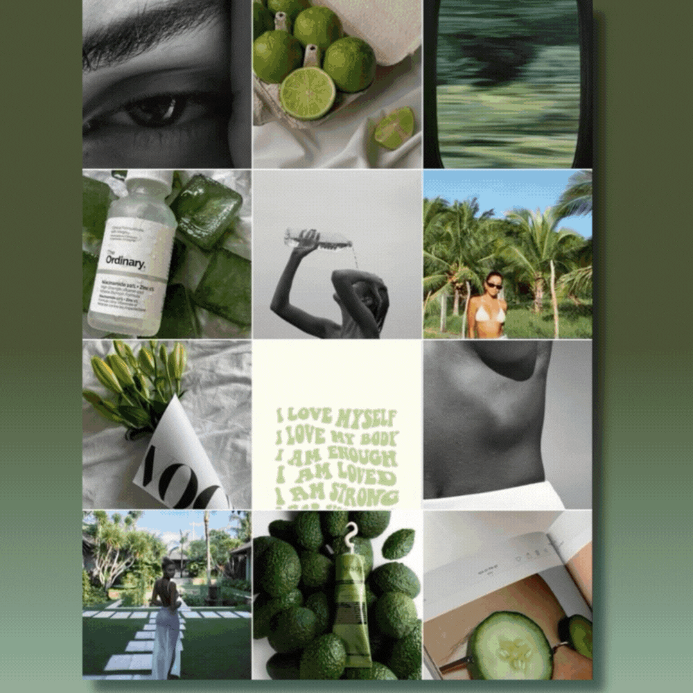 Imagenes Web RYA SIMPLICITY